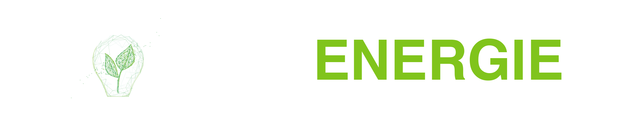 MONDIAL ENERGIE